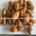 Wholesale Price Almond Kernel in Bulk